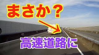 【高速道路に白鷺？】落下物が動いた。なぜ？こんな所に？