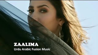 Zaalima Raees Shah Rukh Khan & Mahira Khan  Urdu Arabic Music Fusion #zaalima