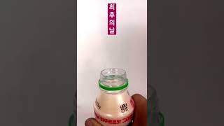 전멸 #식집사 #shorts  응애박멸은 요구르트