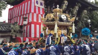 平成28年魚吹八幡神社本宮（長松屋台）宮入り