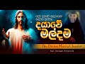 දේව දයාවේ බැතිය | දයාවේ මල්දම | Divine Mercy Chaplet  | Api Jesuge