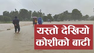 यस्तो देखियो कोशीको बाढी || Koshi River Flood