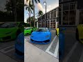 insane lamborghini collection