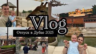 Vlog | Дубай 2025 | Цены | Празднуем 1 год  дочери | Safari Park | Ужин на Марине