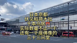 日本京都伏见稻荷大社千本鸟居，实际数量不止一千！再参观有超过一千尊佛像的三十三间堂！