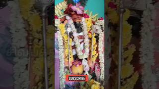 thiruthani murugan rare real video #shorts