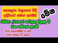 මේෂ ලග්න හිමියන්ට ශනි වක්‍රයෙන් මිදීම බලපාන අයුරු 2024 නොවැම්බර් 15 සිට ඉදිරියට