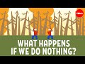 What Earth in 2050 could look like - Shannon Odell
