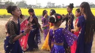Le Nach Le Tharu wedding dance chitwan dorgni