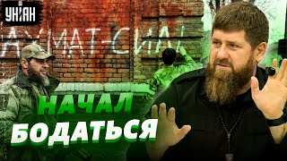 Кадыров отменил мобилизацию в Чечне. Попер против хозяина?