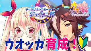 【ウマ娘】新米トレーナー🔰ジェミニ杯決勝用のウオッカ育成！#26【女性Vtuber/しろいちご】