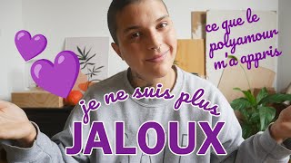 POLYAMOUR - JE NE SUIS PLUS JALOUX : d'où vient la jalousie et apprendre la gérer