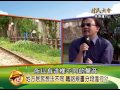 《村民大會 》第419集 桃林鐵路大變身