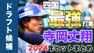 【ドラフト候補】四国最強打者 #寺岡丈翔 選手の2024シーズンヒットまとめ【👑本塁打王・打点王👑】【2024ドラフト会議】