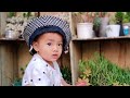 Learning the picture. 1 year 3 months baby Jubilee  phaomei