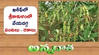 Kharif Crops for Srikakulam || ETV Annadata