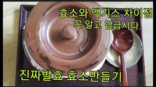 효소와 액기스의 차이점 바로알기.진짜발효효소만들기.발효효소란 이런것이다. 아카시아효소 만들기