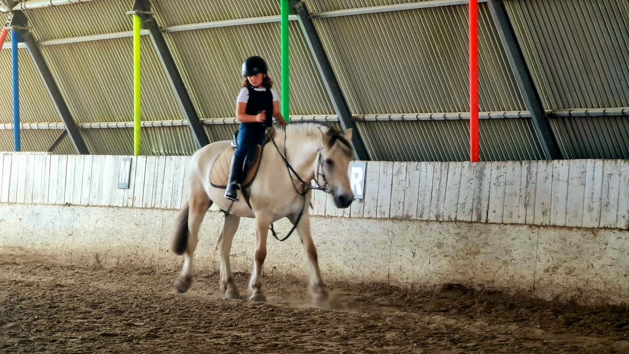 Reitstunde Pferde Reitunterricht Youtube
