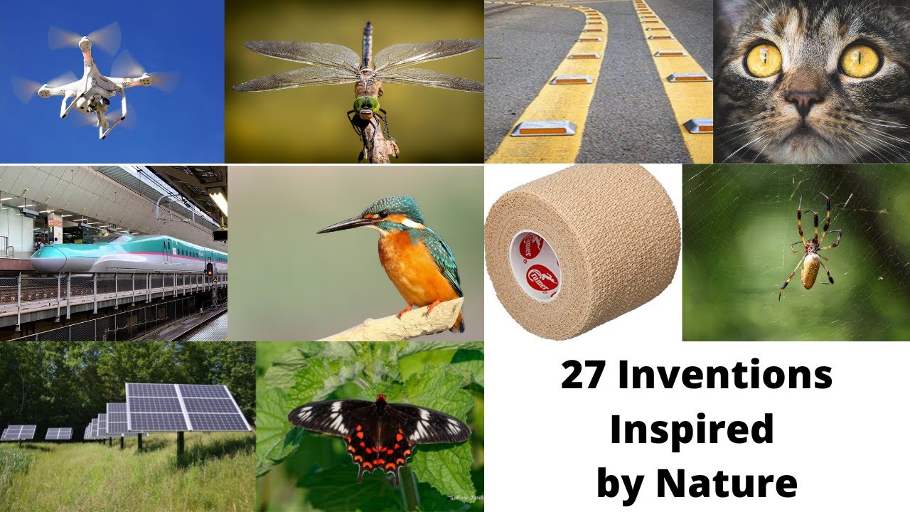 27 Inventions Inspired By Nature - YouTube