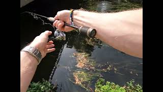 Street Fishing the Netherlands (35 cm perch, Eindhoven)