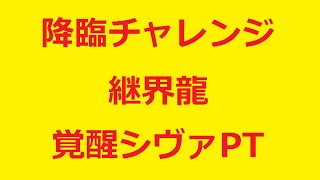 【パズドラ】降臨チャレンジ【ノーコン】 継界龍 覚醒シヴァ