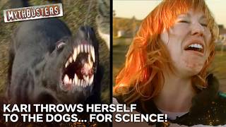 Is It Possible to Outsmart A Guard Dog? | MythBusters