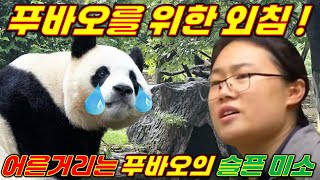 🐼💥푸바오의 비공개 전환과 판다기지 운영 문제..!! 💢그리고 CITES 협정 개선의 중요성..!!