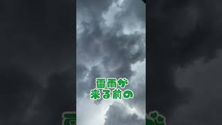 【雷雲】入道雲の真下この後大雨が降りました。 #shorts #short