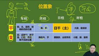 15、八字第十五课：四柱模型的取象