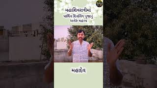 મહાશિવરાત્રીમાં પાર્થિવ શિવલિંગ પૂજાનું અનિરુ મહત્વ // mahashivratri special