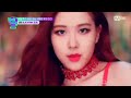 eng sub enhypen reacts to blackpink rosé part 1 blackpink enhypen