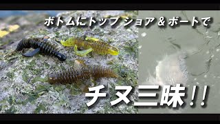 【チニング】ボトムにトップ ショア&ボートでチヌ三昧‼️ 中村豪 / 辻晴仁