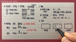 세포막의 구조와 물질이동(확산, 삼투)