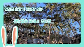 만리포 솔향기캠핑장 리뷰 / 전망좋은 조용한 캠핑장