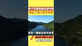 空姐妻子背著我偷吃避孕藥，我起了疑心 暗中調查，卻發現她和別的男子糾纏不清，忍無可忍的我做了這件事，下一秒  她哭著跪地求我【三味時光】#落日溫情 #情感故事 #花開富貴 #深夜淺讀#家庭矛盾 #爽文