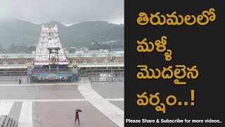 Rain Started Again In Tirumala 24 November 2021