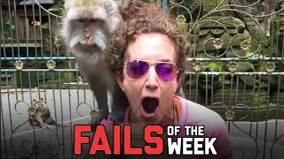 Day Ruined! Fails of the Week | FailArmy