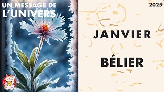 BÉLIER JANVIER 2025 : DES AMÉLIORATIONS GRACE A VOTRE TENACITÉ