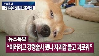 [디아블로3] 강령술사는 기본설계부터 실패다.