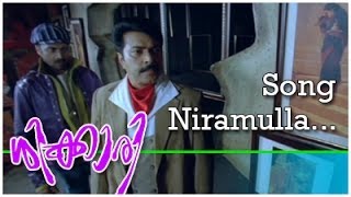 Niramulla Kanavukal  | SHIKKARI | New  Malayalam Movie Song | Mammootty | Poonam Bajwa