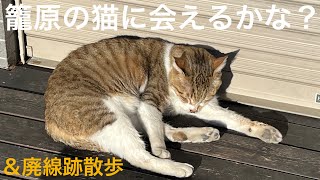 埼玉県熊谷市の猫に会えず…＆廃線跡(日本鋼管ライトスチール専用線)ぶらり散歩ライブ 2023.2.16【おり】