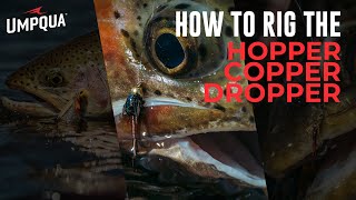 How to rig a Hopper Copper Dropper set up.