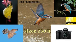 The Nikon Z50II for bird photography - a great option ??