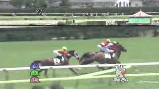 2014年 2歳新馬 / ニシノラッシュ