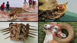 Most BIZARRE Artifacts And Animal Discoveries!