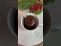 christmasparty christmastreats diyideas easydiy nobakerecipe partyfavors oreo cakepops