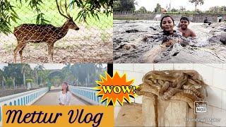 Mettur Dam Vlog  || Early Morning Visit Mettur Park #mettur #animals #vlog #park #salemtouristplace