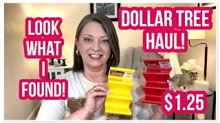 DOLLAR TREE HAUL | LOOK WHAT I FOUND | NEW ITEMS | I LOVE THE DT😁 #haul #dollart