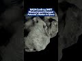 #DARTMission | #NASA Confirms DART Impact Changed Asteroid’s Motion in Space 💥 | #PlanetaryDefense