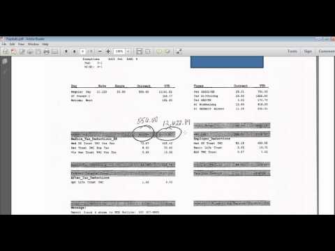 Paystubs with YTD Paystubs with YTD